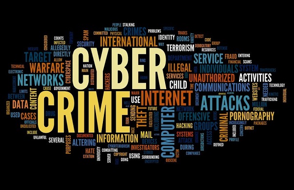 Cyber Crime Case